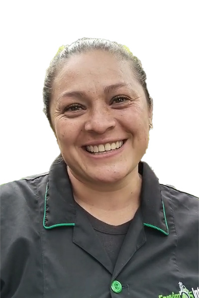 Elisa Fernanda Cruz - Servicios